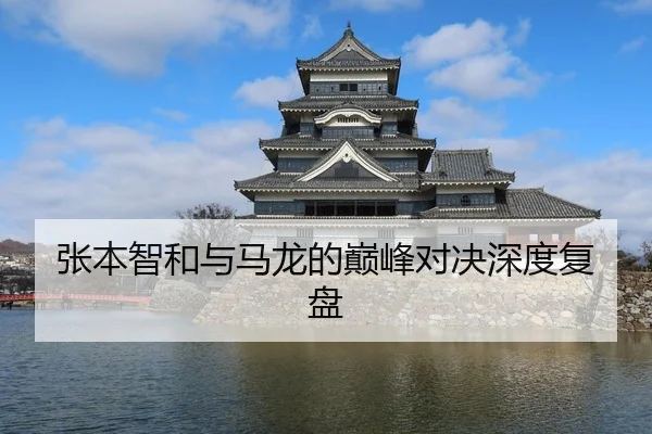 张本智和与马龙的巅峰对决深度复盘