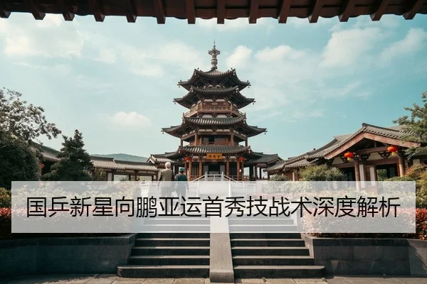 国乒新星向鹏亚运首秀技战术深度解析